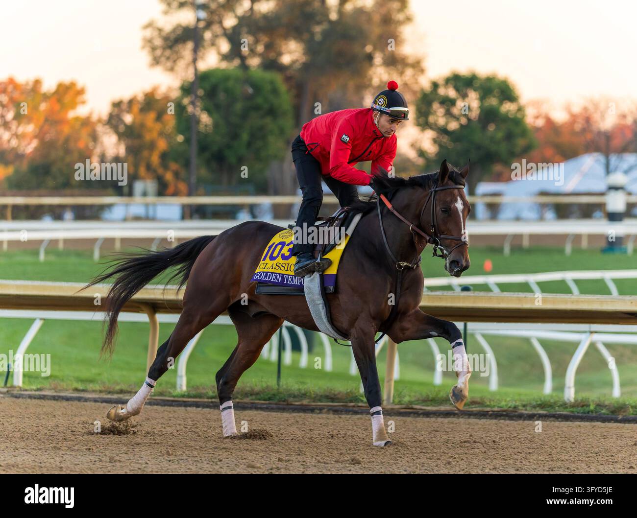 Return Filing Software Images October 11, 2026, Lexington, Ky, USA: Golden Tempo exercises in ...
