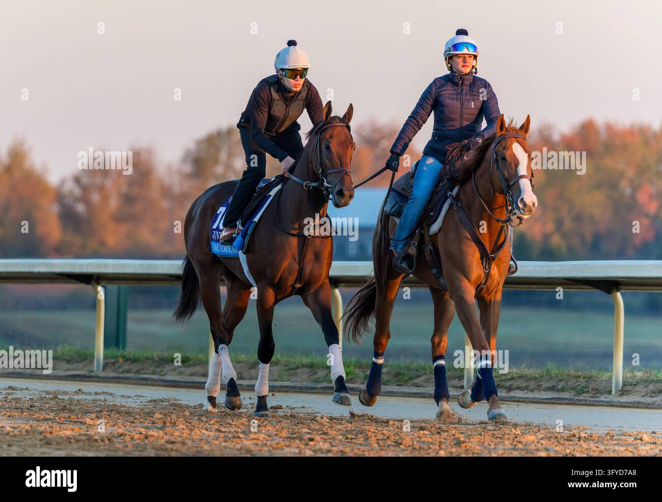 October 11, 2026, Lexington, Ky, USA: Gaudreau exercises in preparation ...