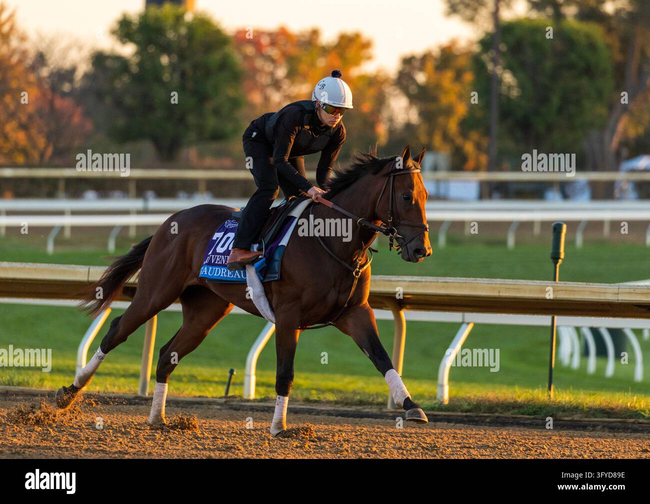 October 11, 2026, Lexington, Ky, USA: Gaudreau exercises in preparation ...
