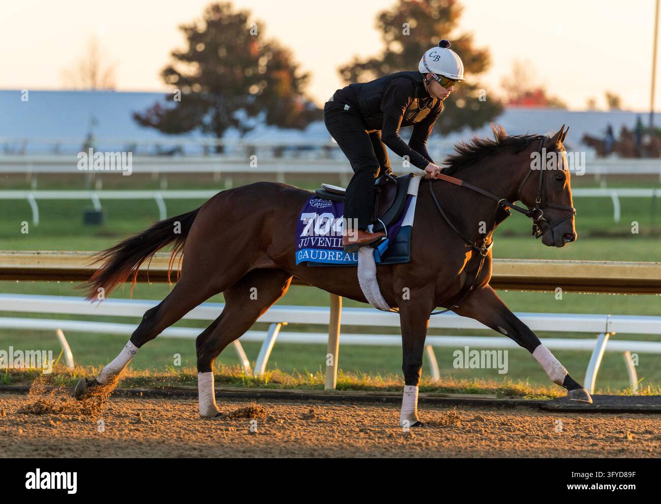October 11, 2026, Lexington, Ky, USA: Gaudreau exercises in preparation ...