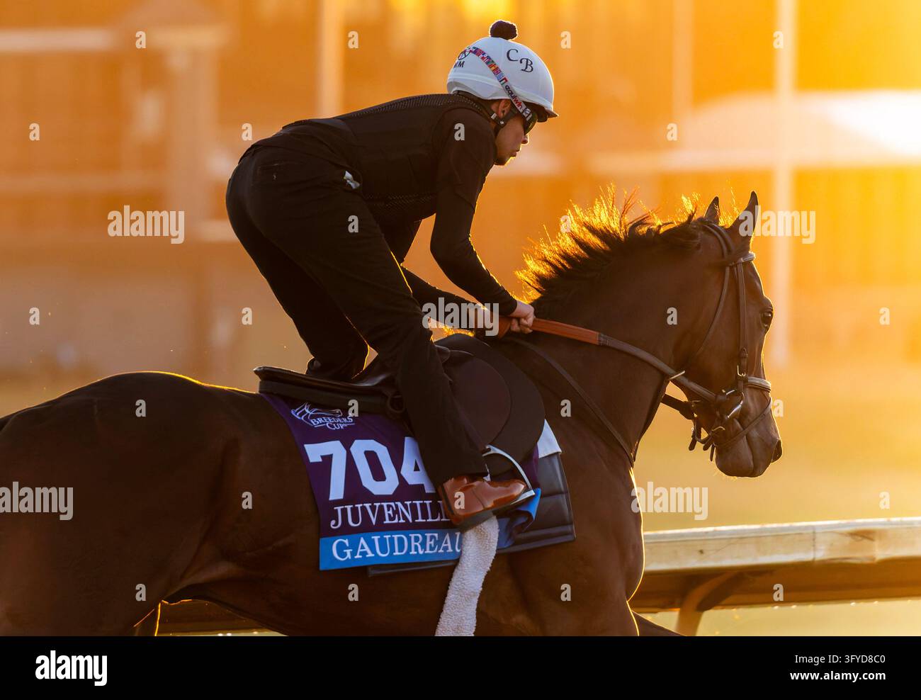 October 11, 2026, Lexington, Ky, USA: Gaudreau exercises in preparation ...