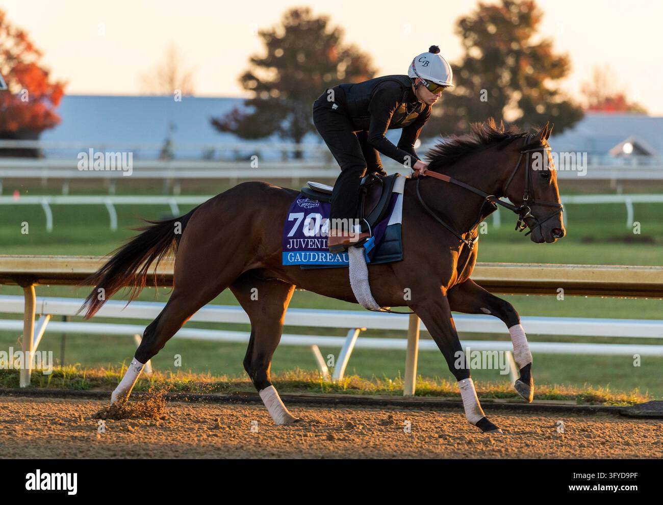 October 11, 2026, Lexington, Ky, USA: Gaudreau exercises in preparation ...