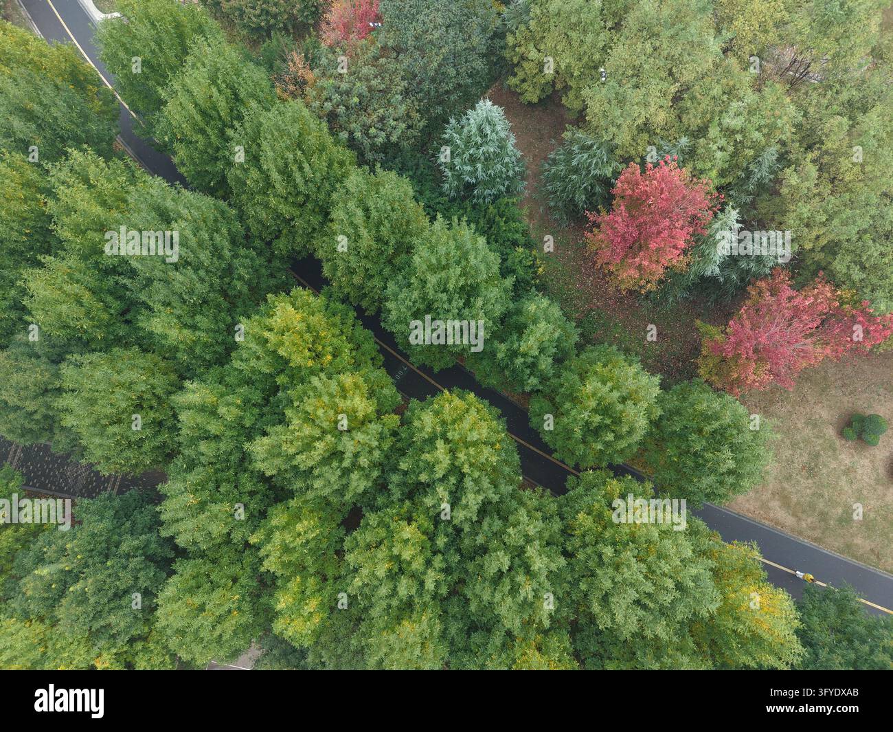 Residents exercise on a trail at Zixia Park in Wenxian, Jiaozuo ...