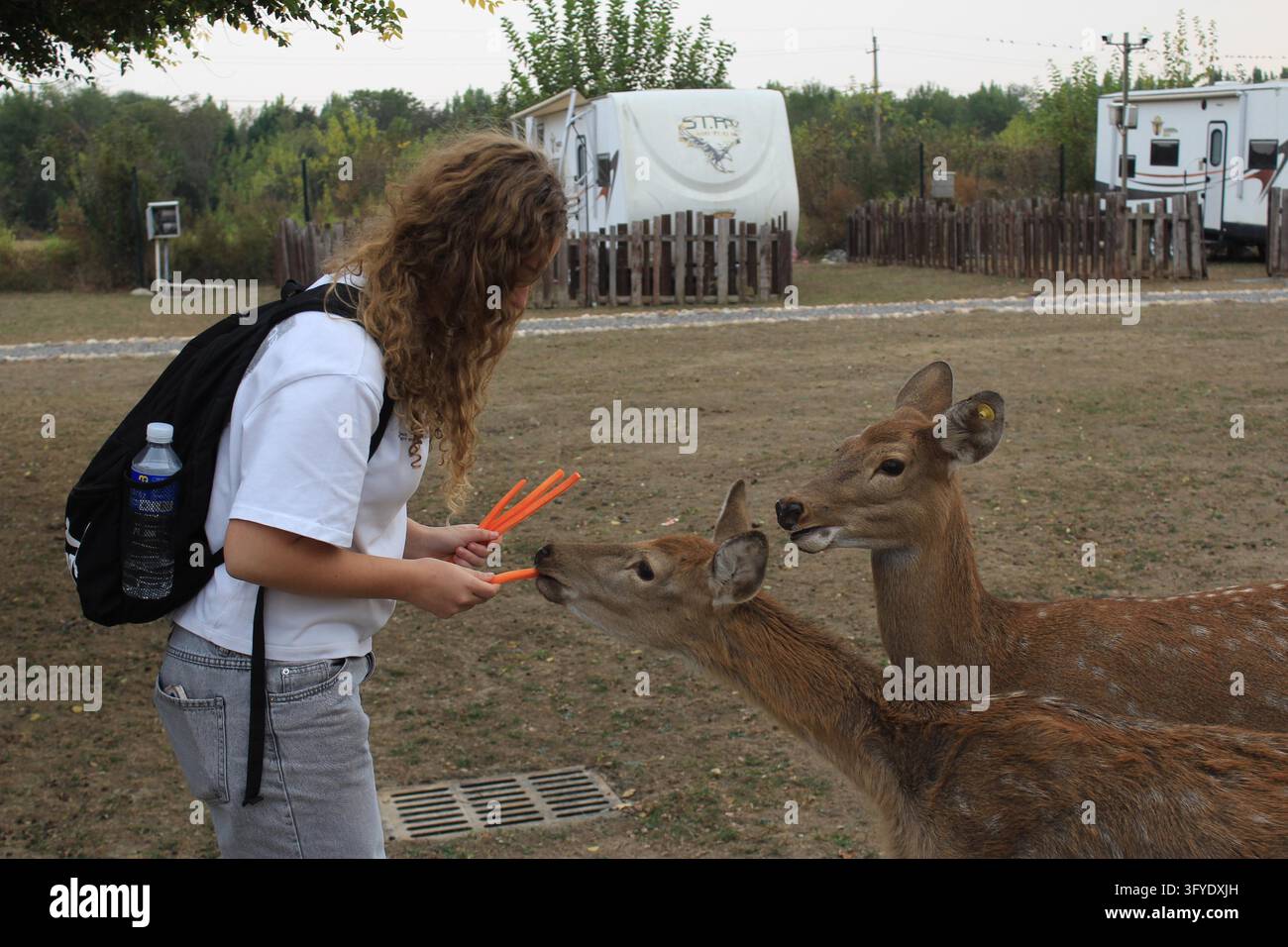 French teenagers interact with sika deer at Xincheng Modern ...