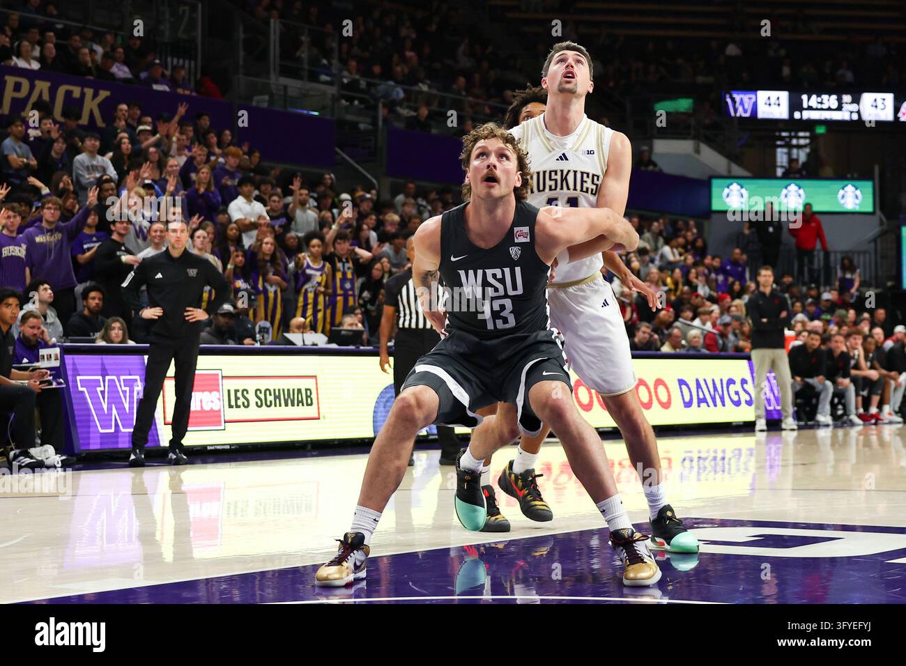 SEATTLE, WA - OCTOBER 25: Steele Venters #11 of the Washington Huskies ...