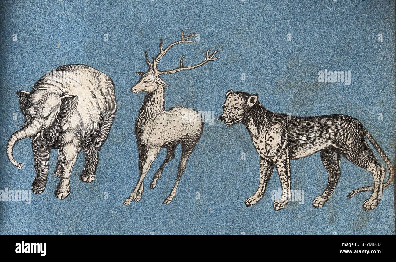 An elephant, a deer and a leopard (or cheetah?). Cut-out engravings ...