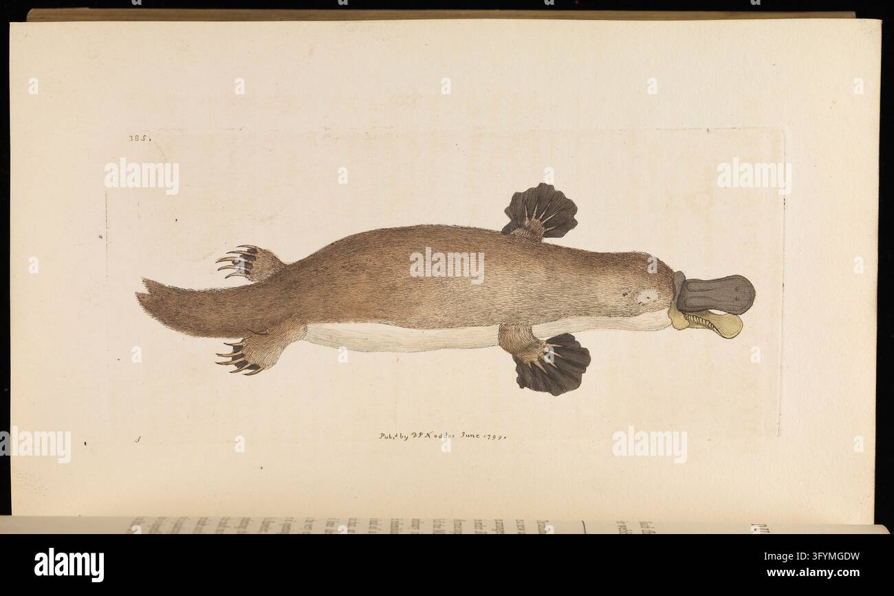 The naturalists' miscellany, or, Coloured figures of natural objects ...