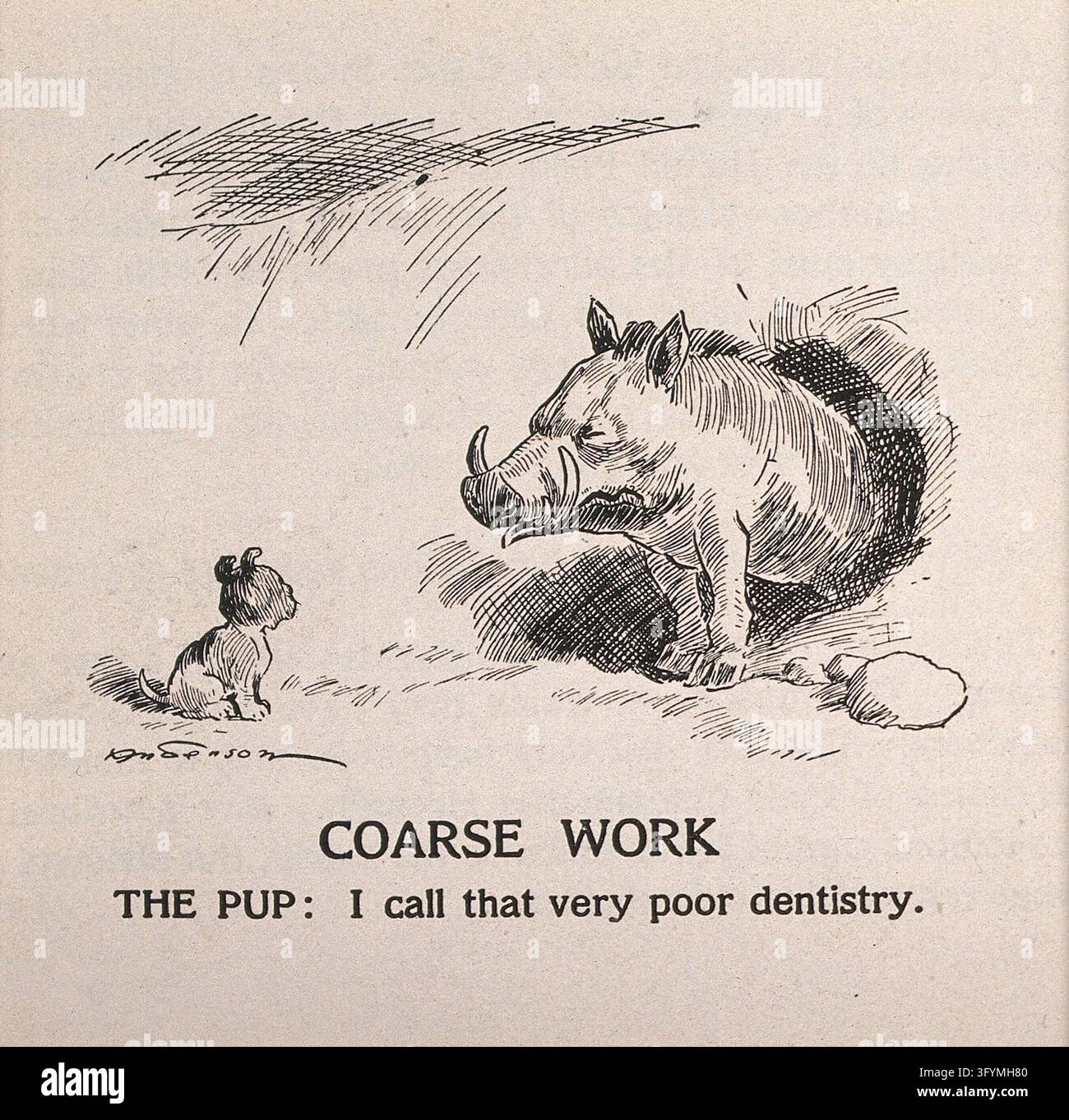 A puppy telling a wild boar that his tusks are a result of bad ...