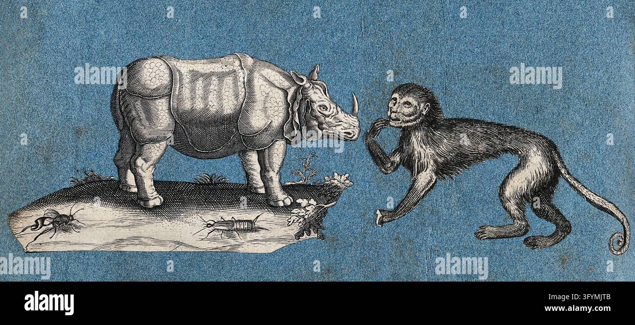 A rhinocerus and a monkey. Cut-out engravings pasted onto paper, 16 ...