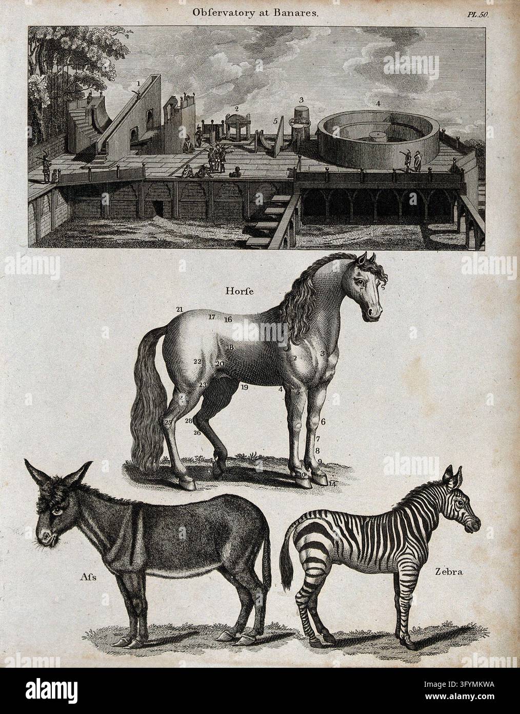 Above, an open-air observatory at Benares [Varanassi]; below, a horse ...