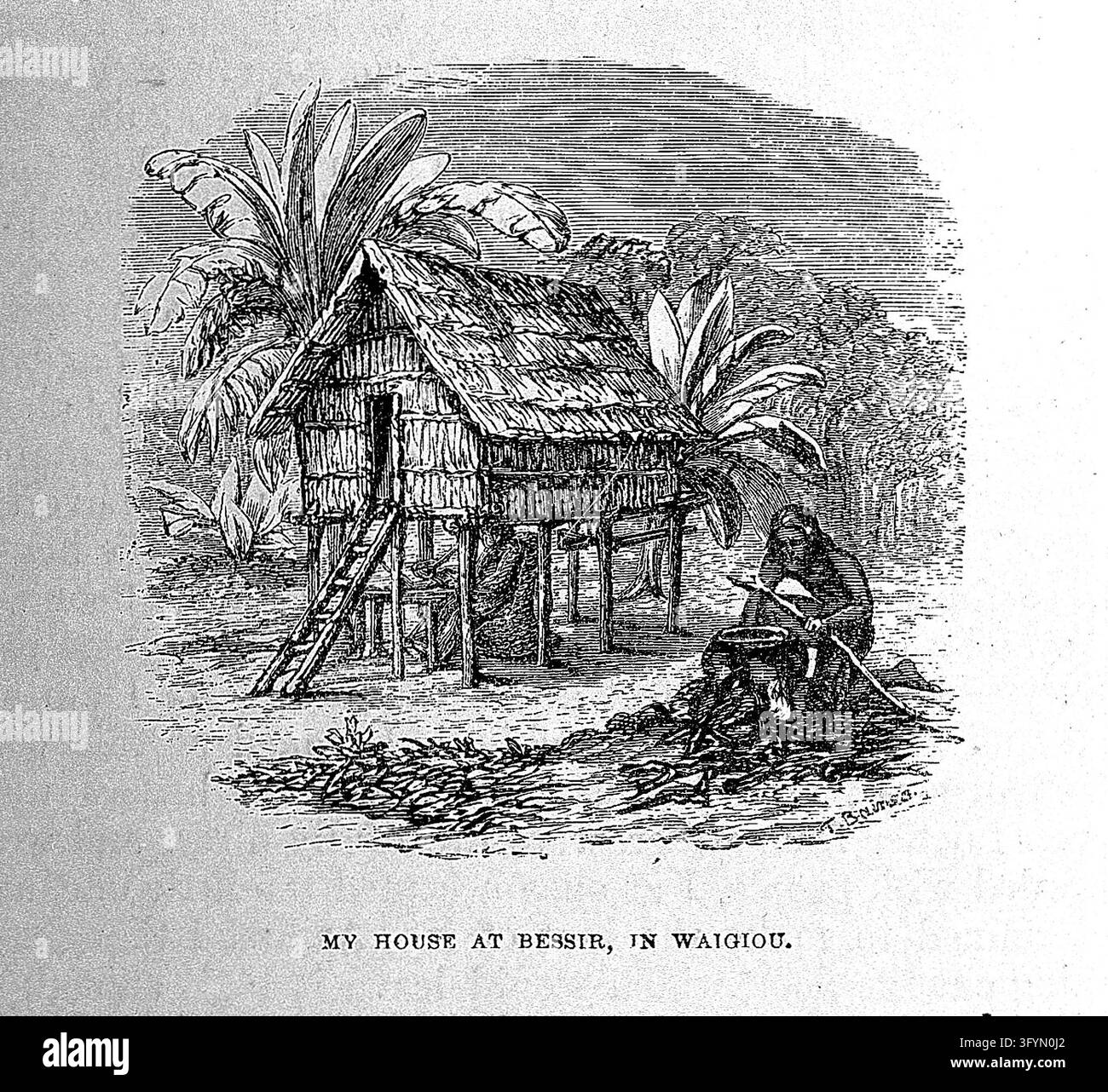 The Malay archipelago : the land of the orang-utan and the bird of ...