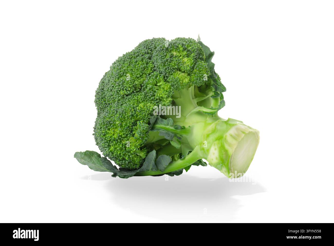 Vegetarian food. Broccoli stands prominently, highlighting its fresh ...