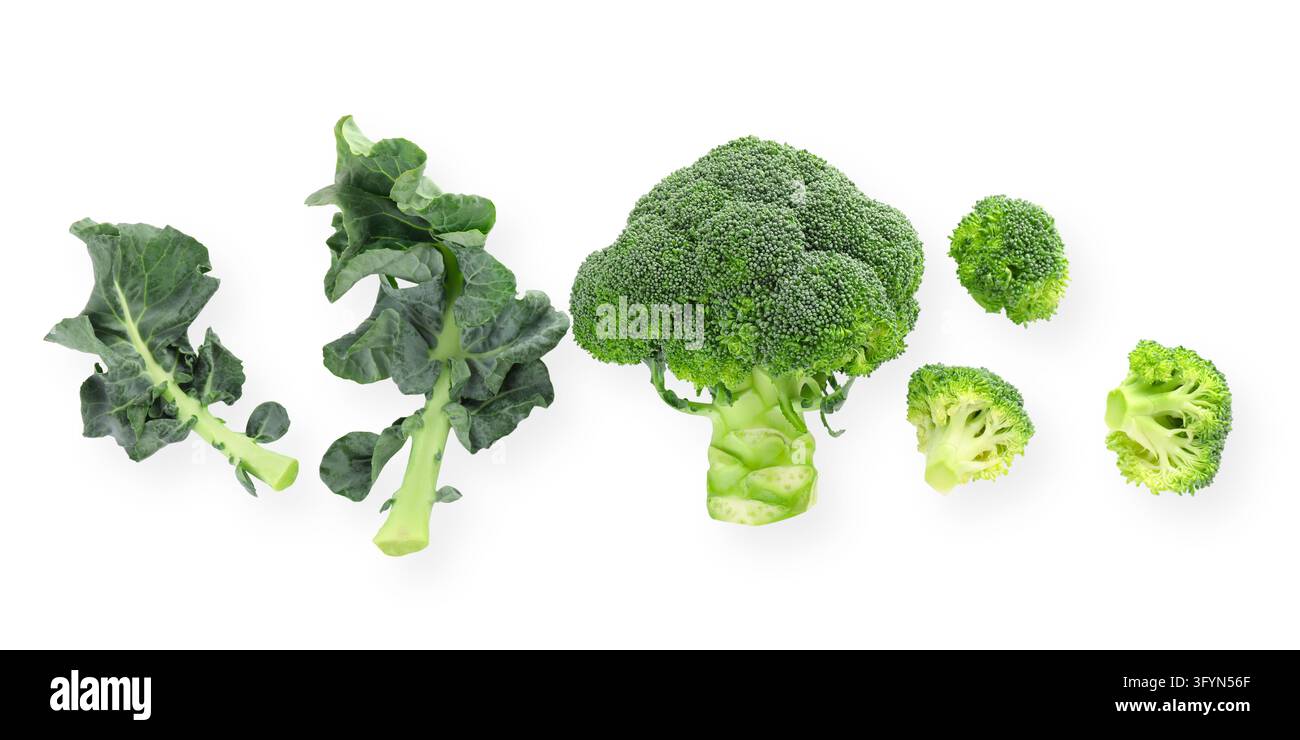 Healthy food. Broccoli is arranged beautifully, showcasing fresh green ...