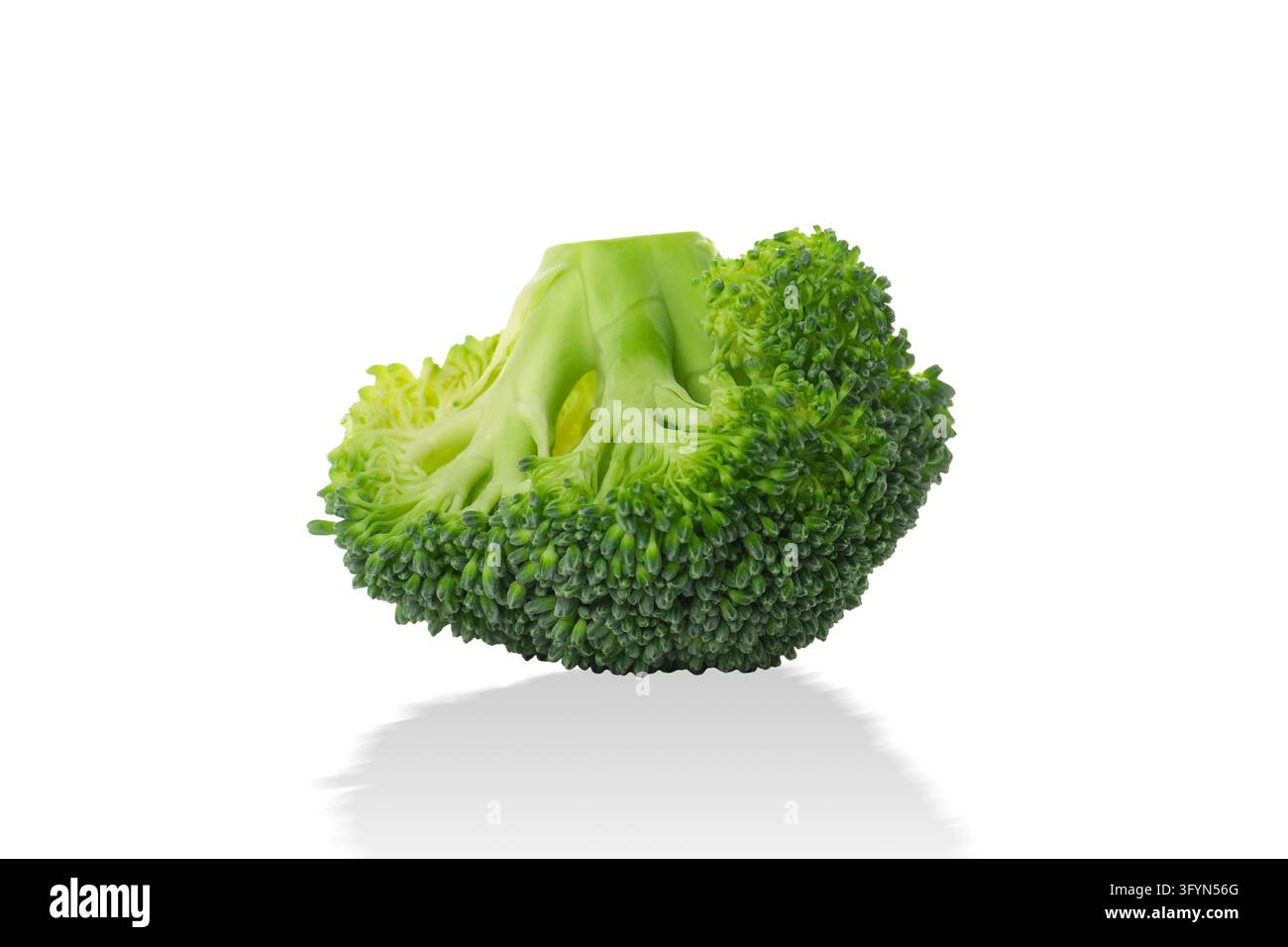 Vegetarian food. Broccoli displays its rich, green color, highlighting ...