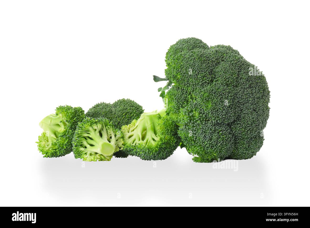 Vegetarian food. Broccoli is displayed beautifully, highlighting fresh ...