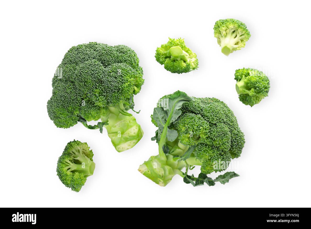 Healthy food. Vibrant broccoli pieces are arranged to showcase their ...