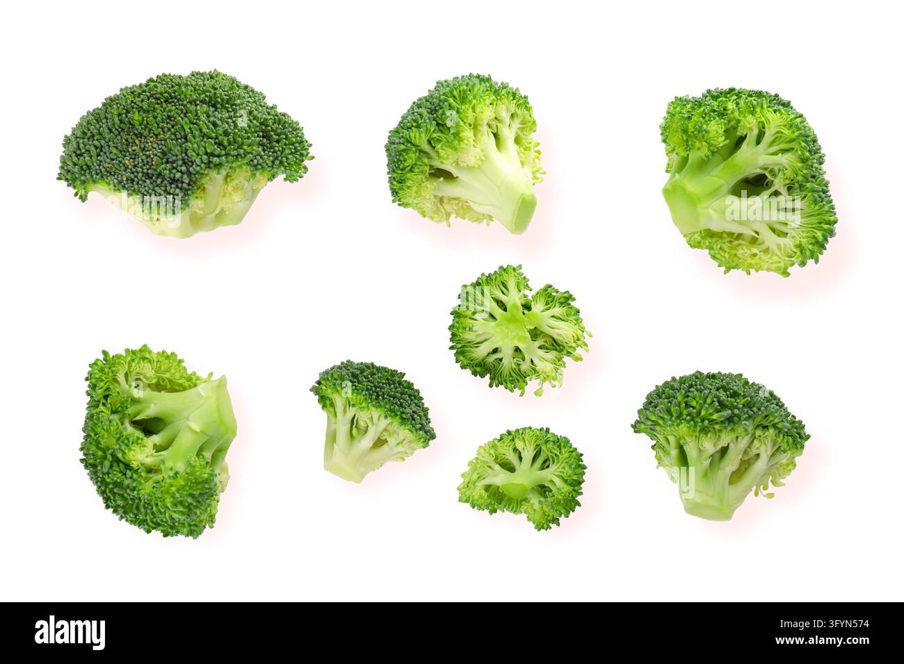 Vegetarian food. Broccoli florets are displayed in an artistic ...