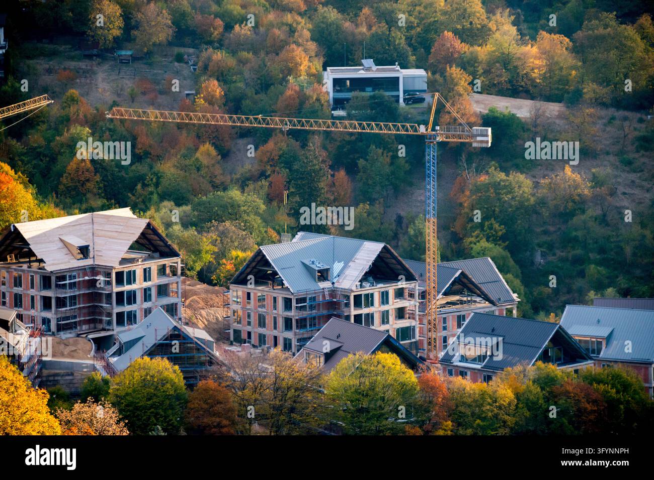 Cranes at a construction site Stock Photo - Alamy