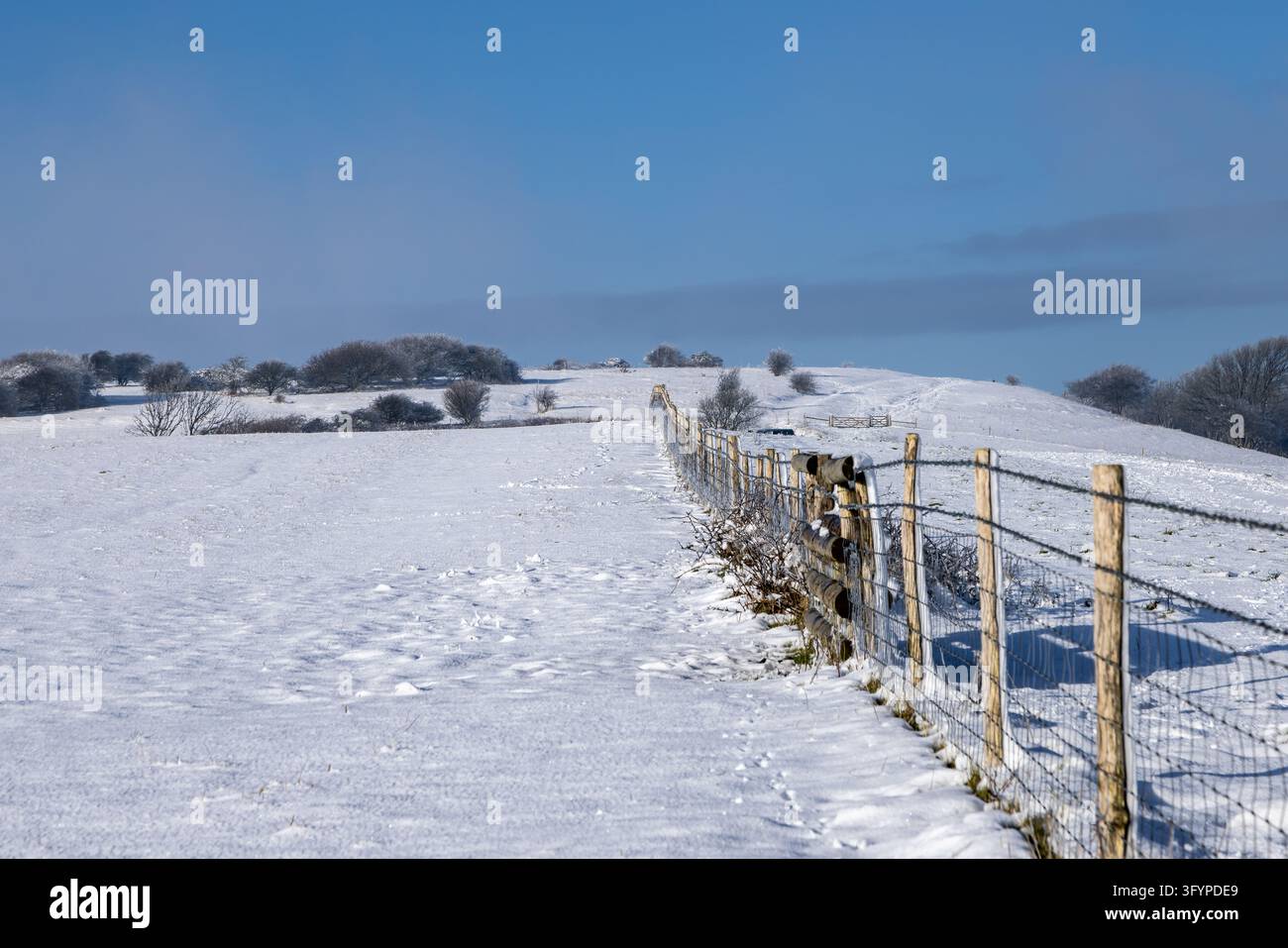 A snow covered Sussex landscape with a blue sky overhead Stock Photo ...