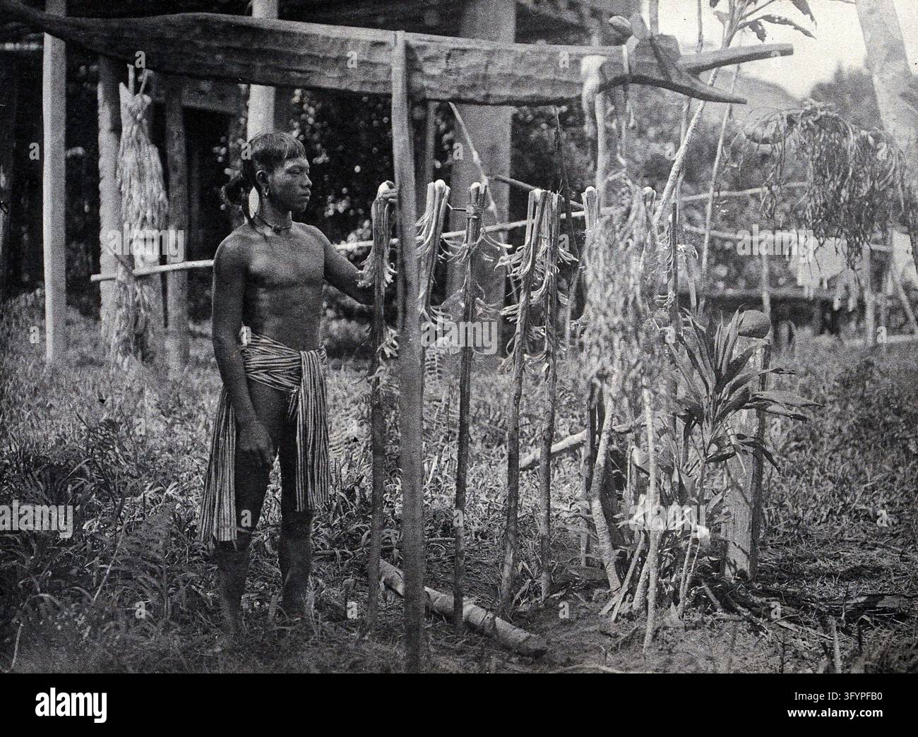 Sarawak: a man placing offerings to the omen-birds on poles in the ...