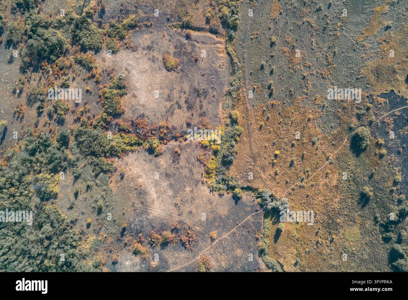 Aerial top down view of scorched earth landscape with trenches and soil ...