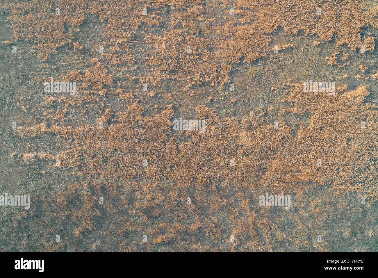 Textured ground surface of a dried swamp marshland from above. Natural ...