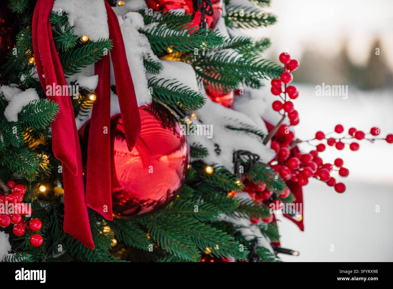 Shiny red Christmas ball and long velvet ribbon hanging among snowy ...