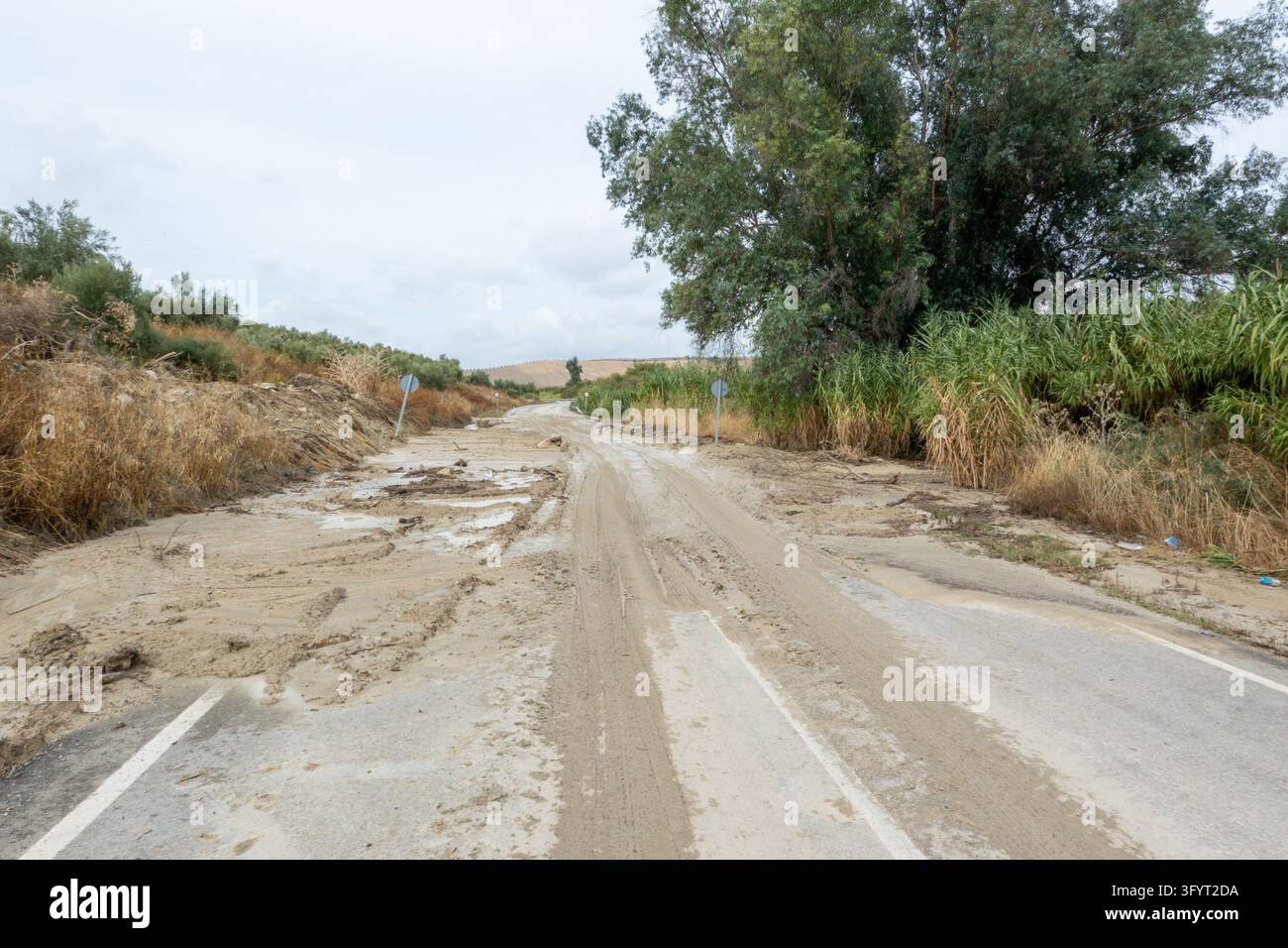 Flood mud and debris covering a rural road, leaving the asphalt damaged ...