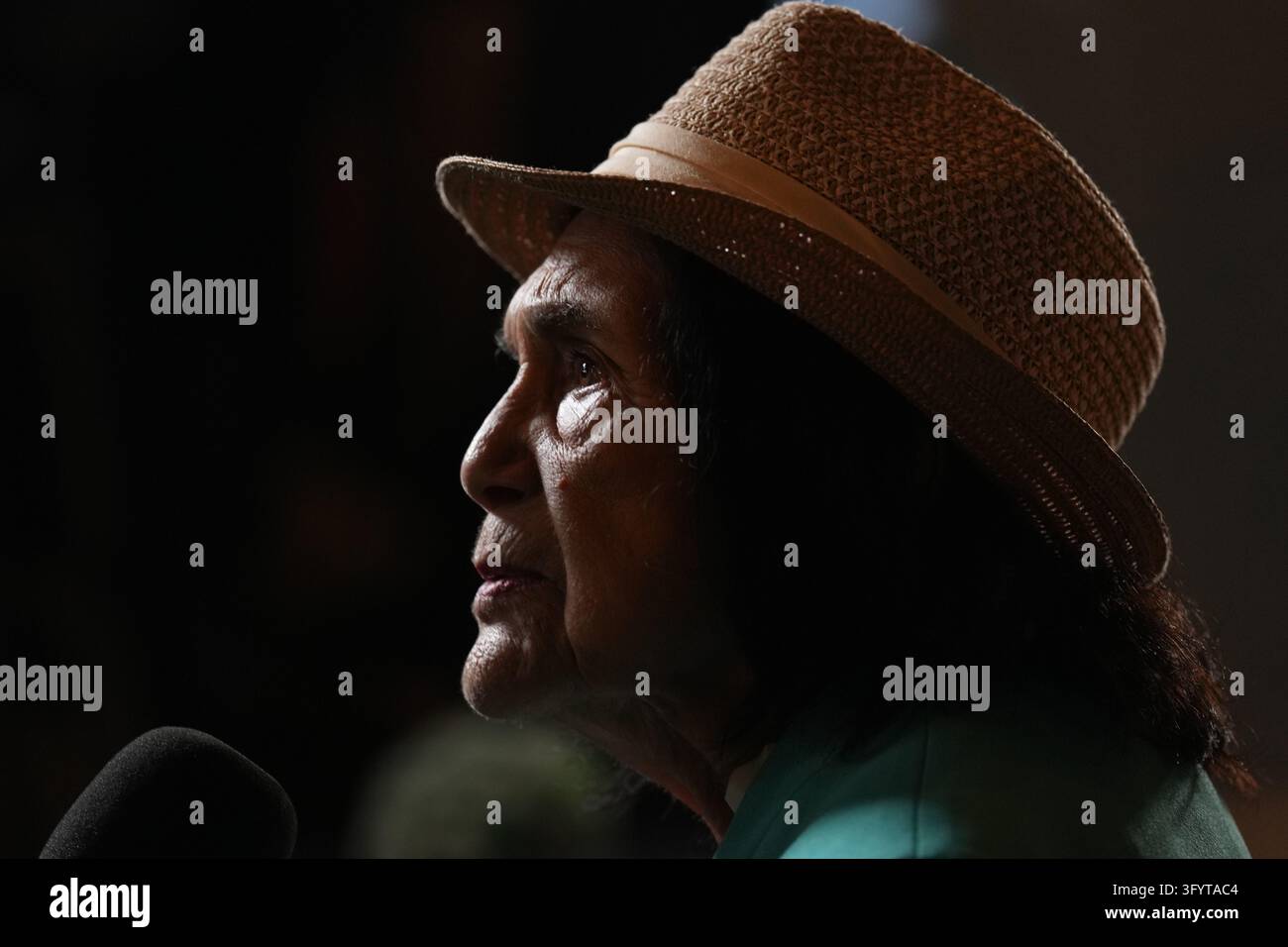 FILE - Dolores Huerta attends an election night event for California ...