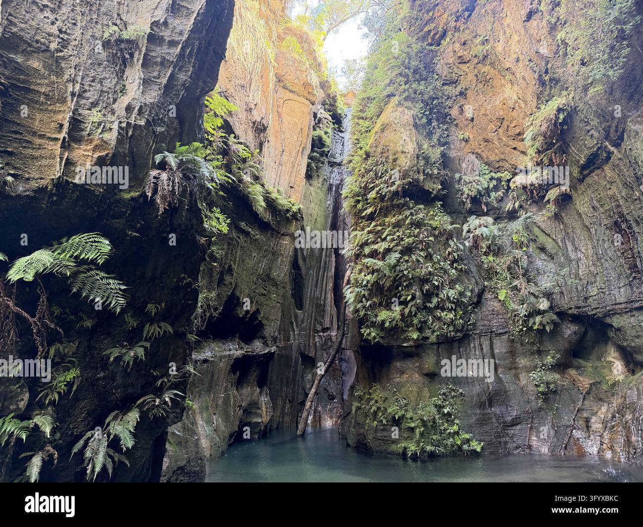 A secluded emerald pool lies below tall weathered cliffs and tropical plants in Isalo National Park, Madagascar. - Smartphone Captured Stock Image