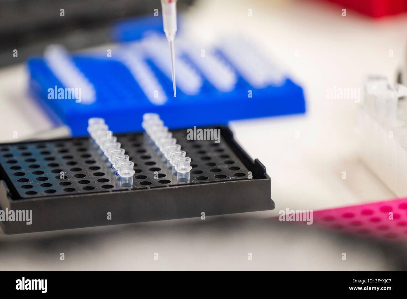 FILE A lab technician prepares DNA samples for analysis in San Jose ...