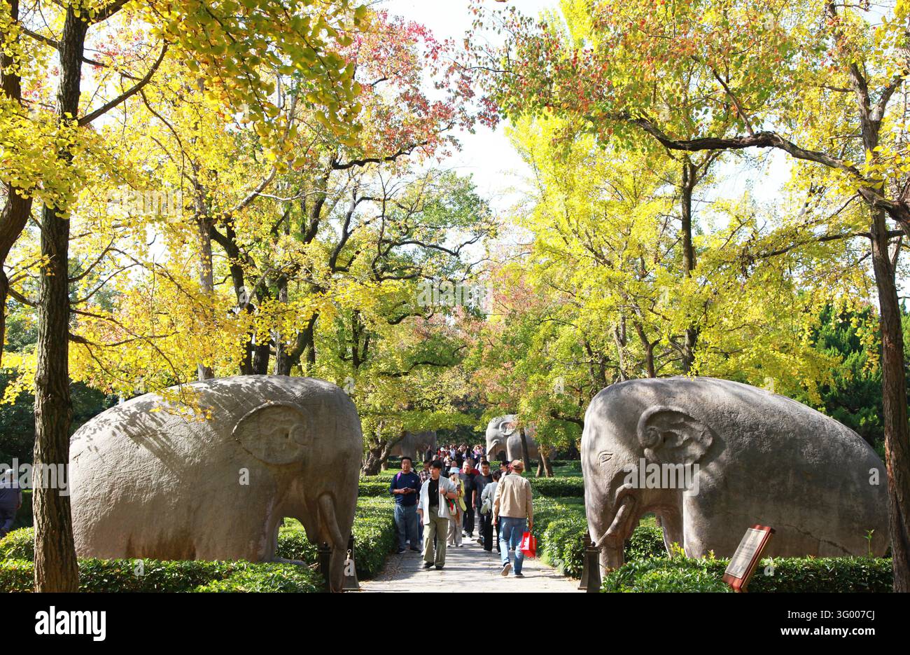 Tourists enjoy the scenery along the Stone Elephant Road at Ming ...