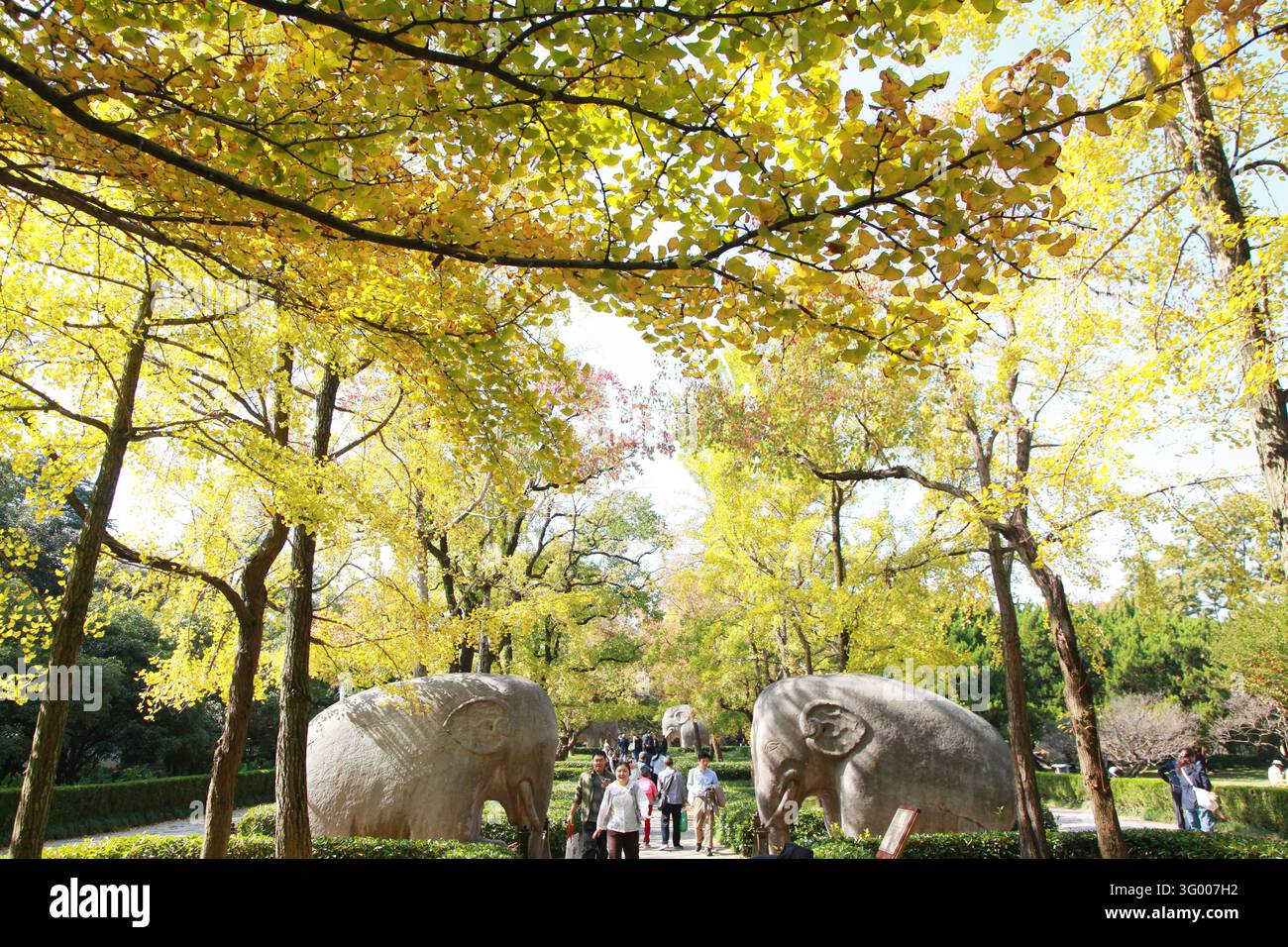Tourists enjoy the scenery along the Stone Elephant Road at Ming ...