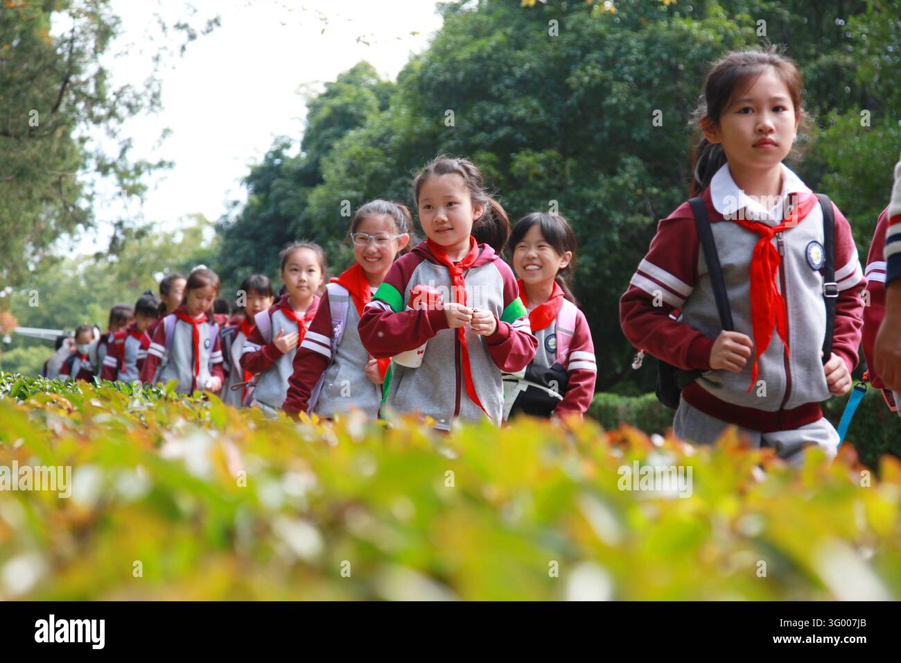 Pupils enjoy an autumn outing at Zhongshan Mountain Scenic Area in ...