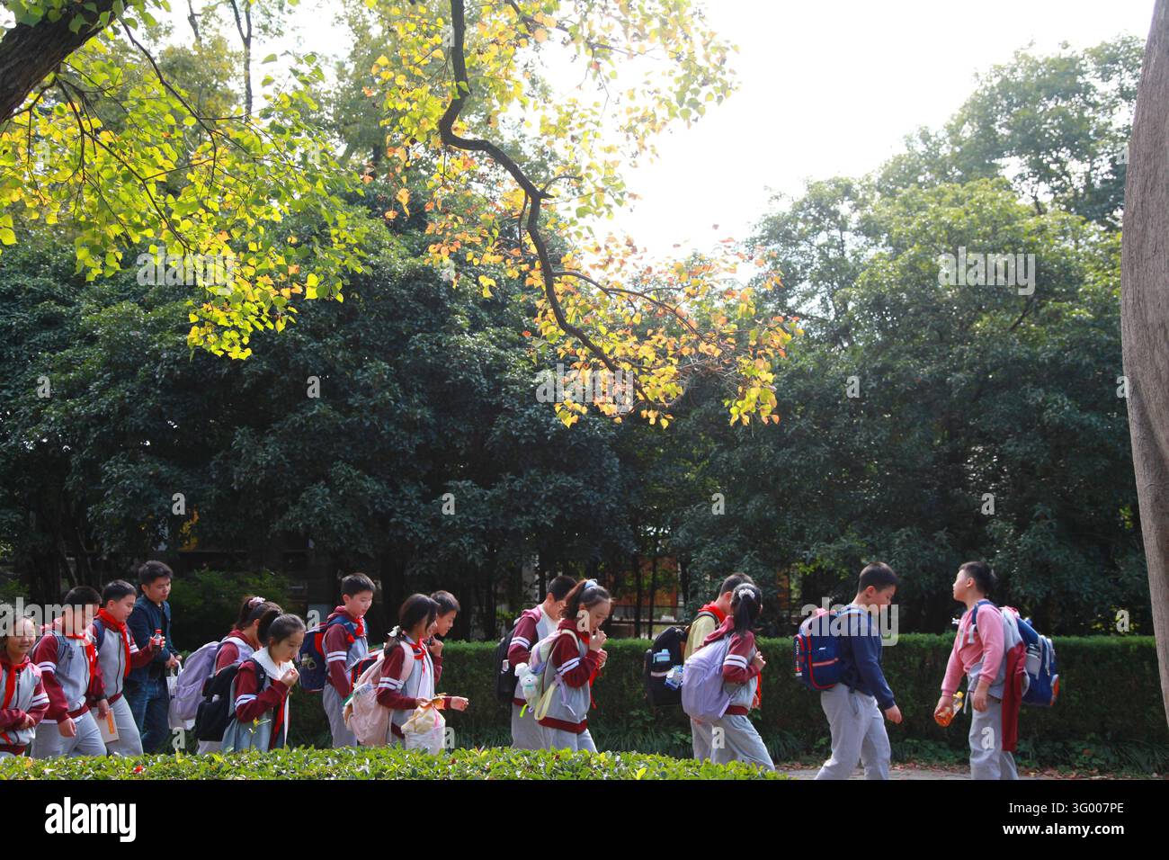 Pupils enjoy an autumn outing at the Zhongshan Mountain Scenic Area in ...