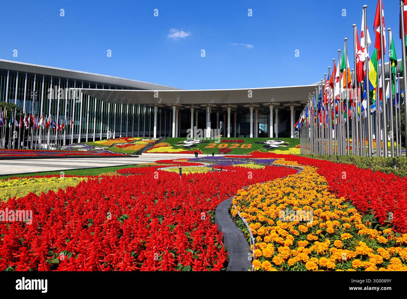 Floral displays featuring mascot Jinbao are set up at the south square ...