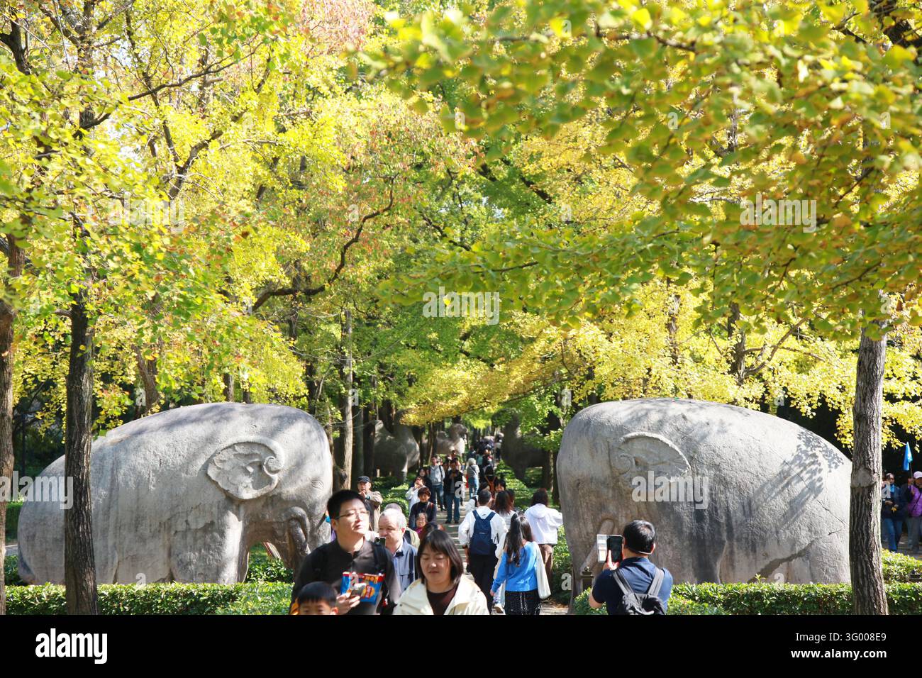 Tourists enjoy the scenery along the Sacred Way of Ming Xiaoling ...