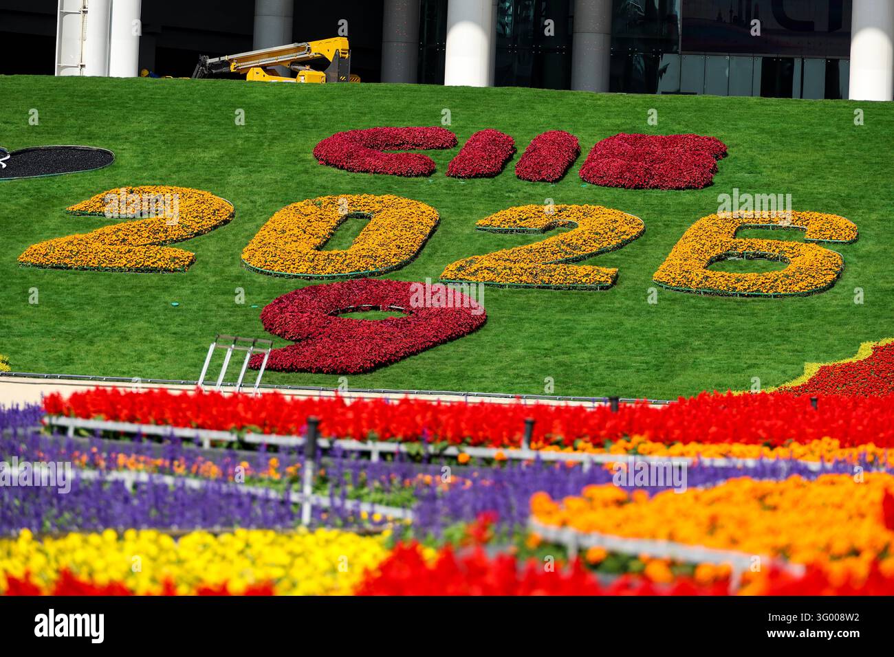 Floral displays featuring mascot Jinbao are set up at the South Square ...