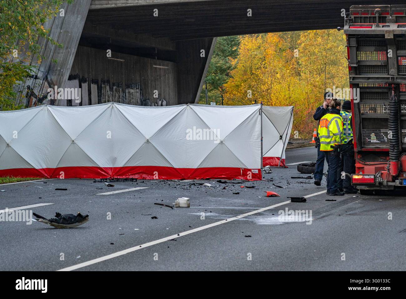 Tödlicher Unfall auf Bundesstraße Am 29.10.2026 kam es gegen 06:30 Uhr ...