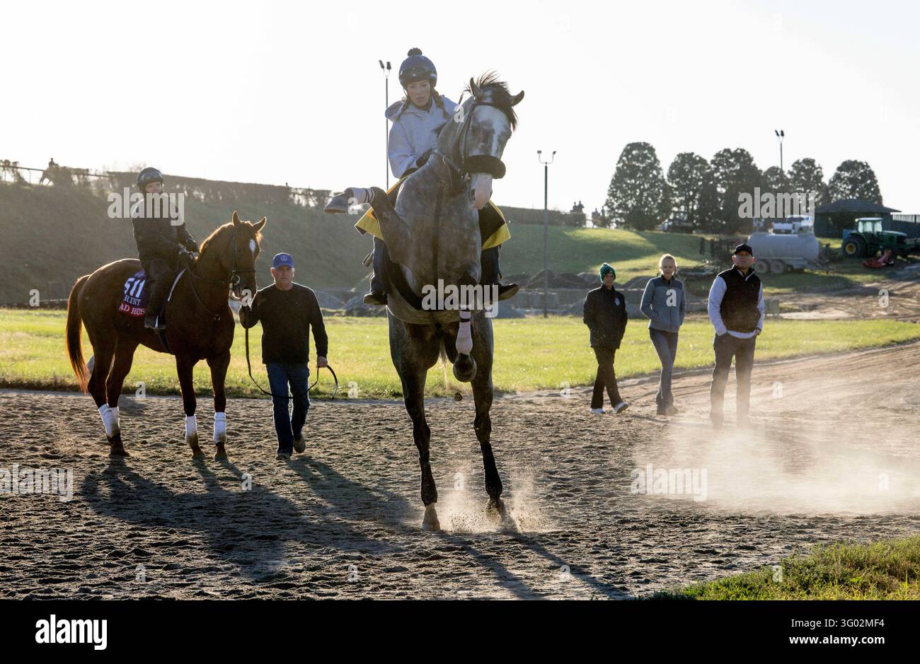 October 29, 2026, Lexington, Kentucky, USA: Napoleon Solo, trained by ...