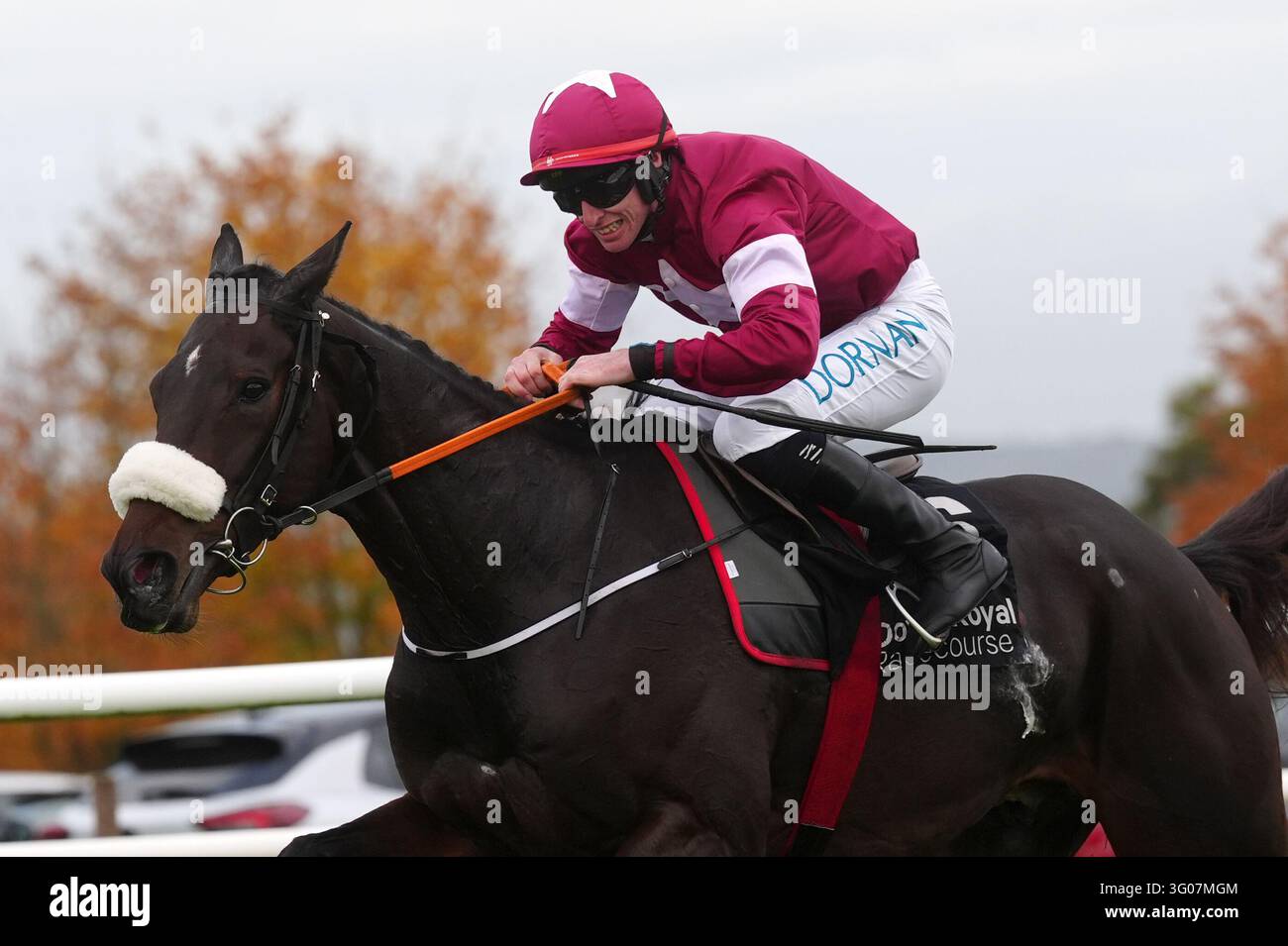 Ebf Farming Roya With Nolimit ridden by Jack Kennedy on the way to winning the Irish ...