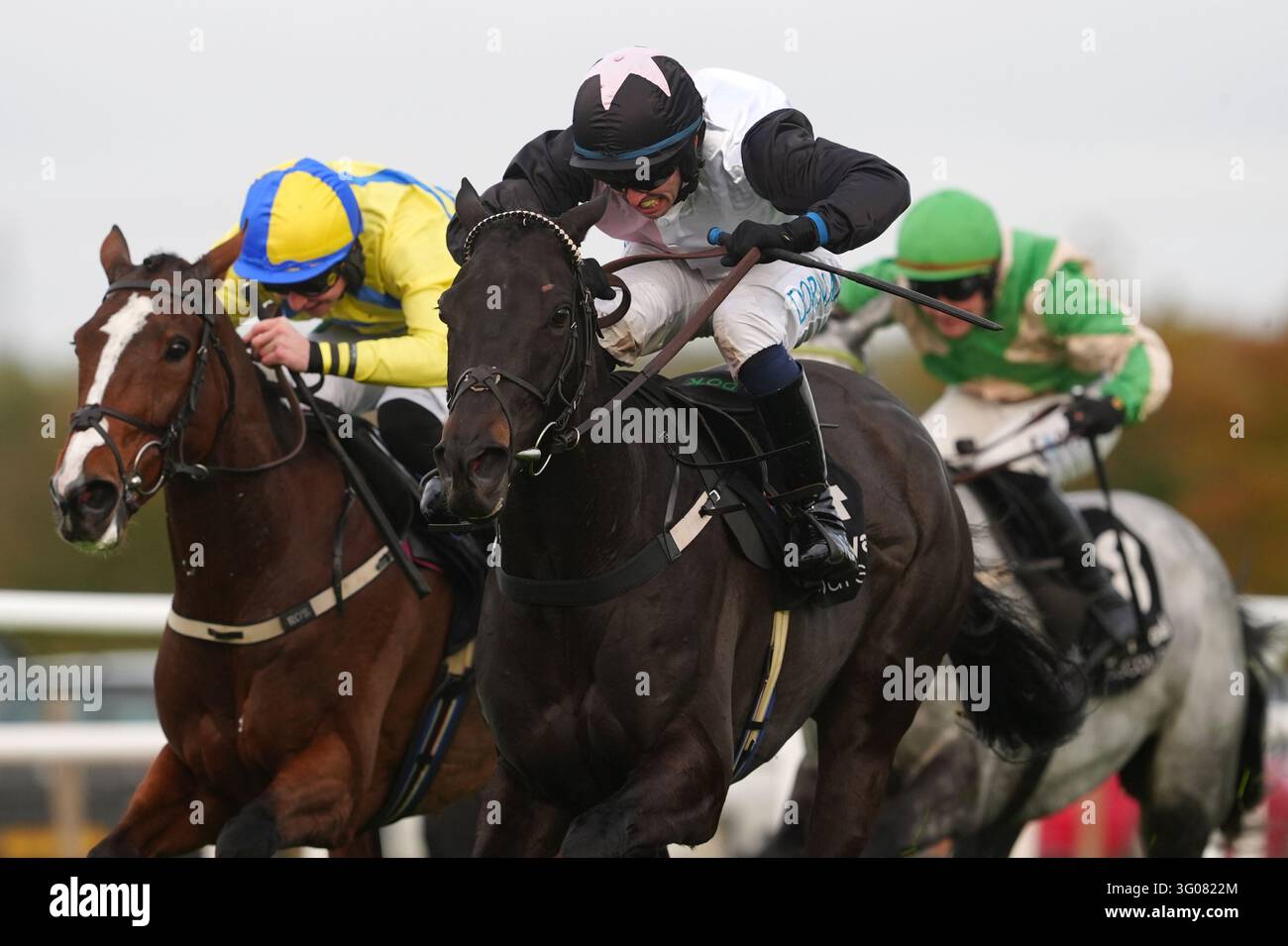 Ebf Farming Roya Ash Hobbs ridden by Darragh O'Keeffe on the way to winning the Irish ...