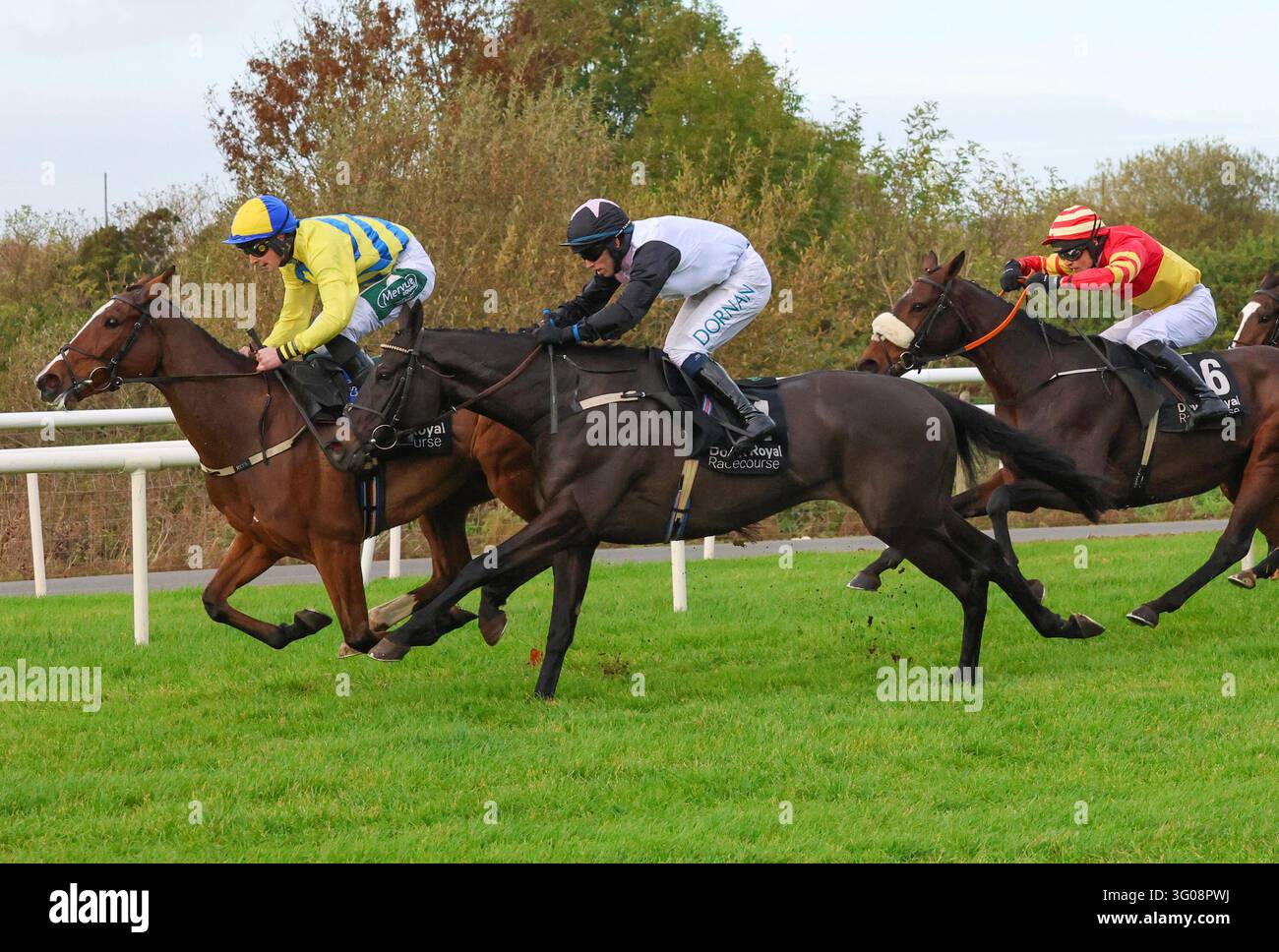 Ebf Farming Roya Down Royal Racecourse, Lisburn, Northern Ireland. 30 Oct 2026. The ...