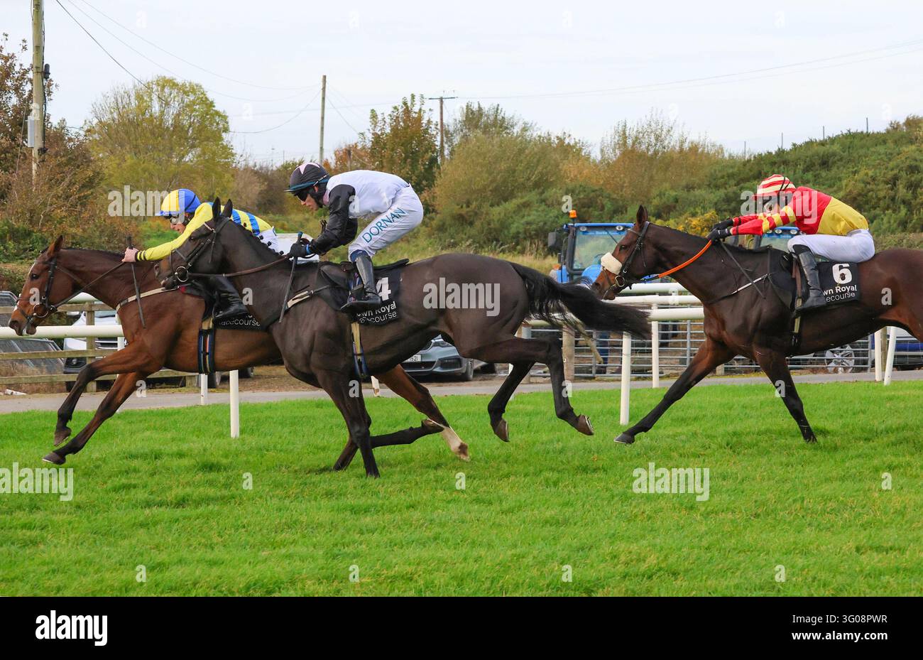 Ebf Farming Roya Down Royal Racecourse, Lisburn, Northern Ireland. 30 Oct 2026. The ...