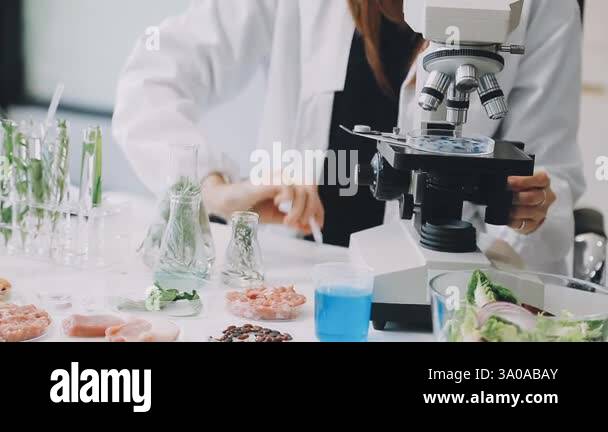 female scientist using microscope at table in chemistry laboratory ...