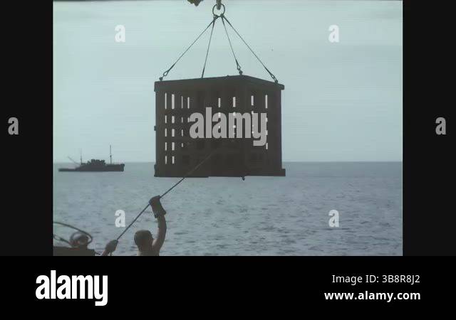 BIKINI ATOLL - 1946 - Soldiers lower cages full of animals aboard the ...