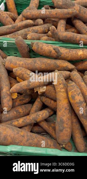 An eyecatching and vivid display of fresh, organic root vegetables that ...