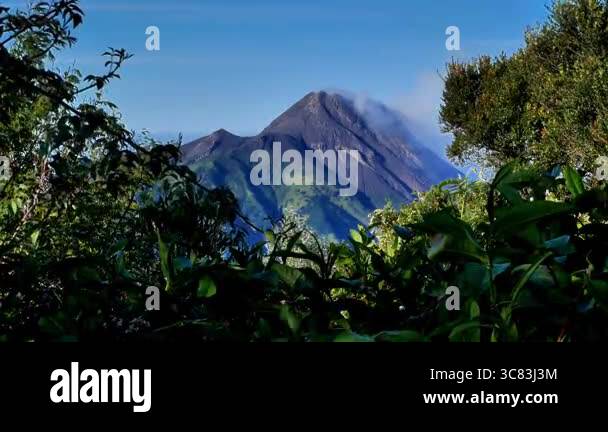 Mount Merapi with thin volcanic smoke and lush green forest, seen from ...