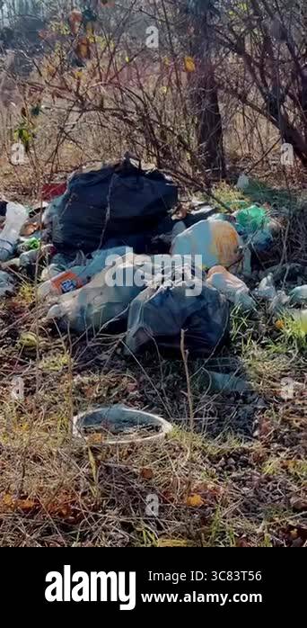 Tourists left trash. A garbage dump in the winter forest. Plastic waste ...