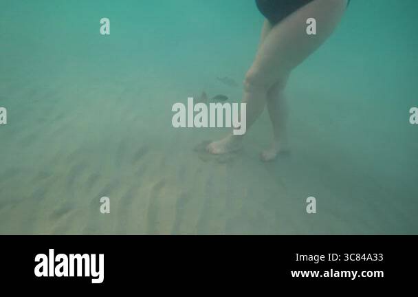 People Inc. - America's Largest Digital & Print Publisher